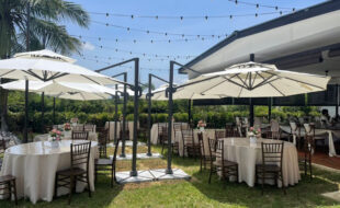 Garden Umbrella Near Me
Searching for “Garden Umbrella Near Me” in Malaysia? DeconDesigns provides convenient access to premium, durable, and stylish garden umbrellas near you. Designed to withstand tropical sun, rain, and wind, these umbrellas are perfect for residential gardens, patios, poolside areas, resorts, and commercial spaces. Available in various sizes, shapes, and colors, they create comfortable, shaded areas for relaxation, dining, or social gatherings. Easy to operate and maintain, our Garden Umbrellas combine functionality, durability, and aesthetic appeal. Whether for personal use or business, DeconDesigns ensures you get high-quality umbrellas conveniently located near you in Malaysia, offering the perfect balance of style and practicality for your outdoor spaces.
please visit our website at www.decondesigns.com  or contact us  at +60167960331